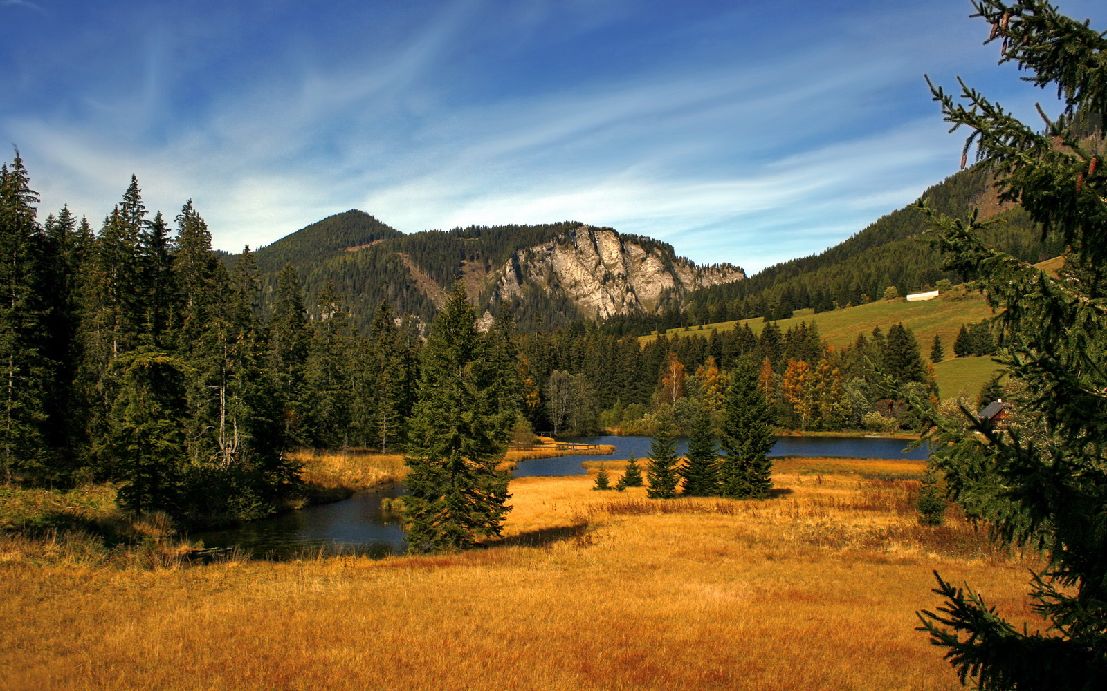 _城市天际线穿越：虚拟现实中的极速争霸_，城市天际线路线规划