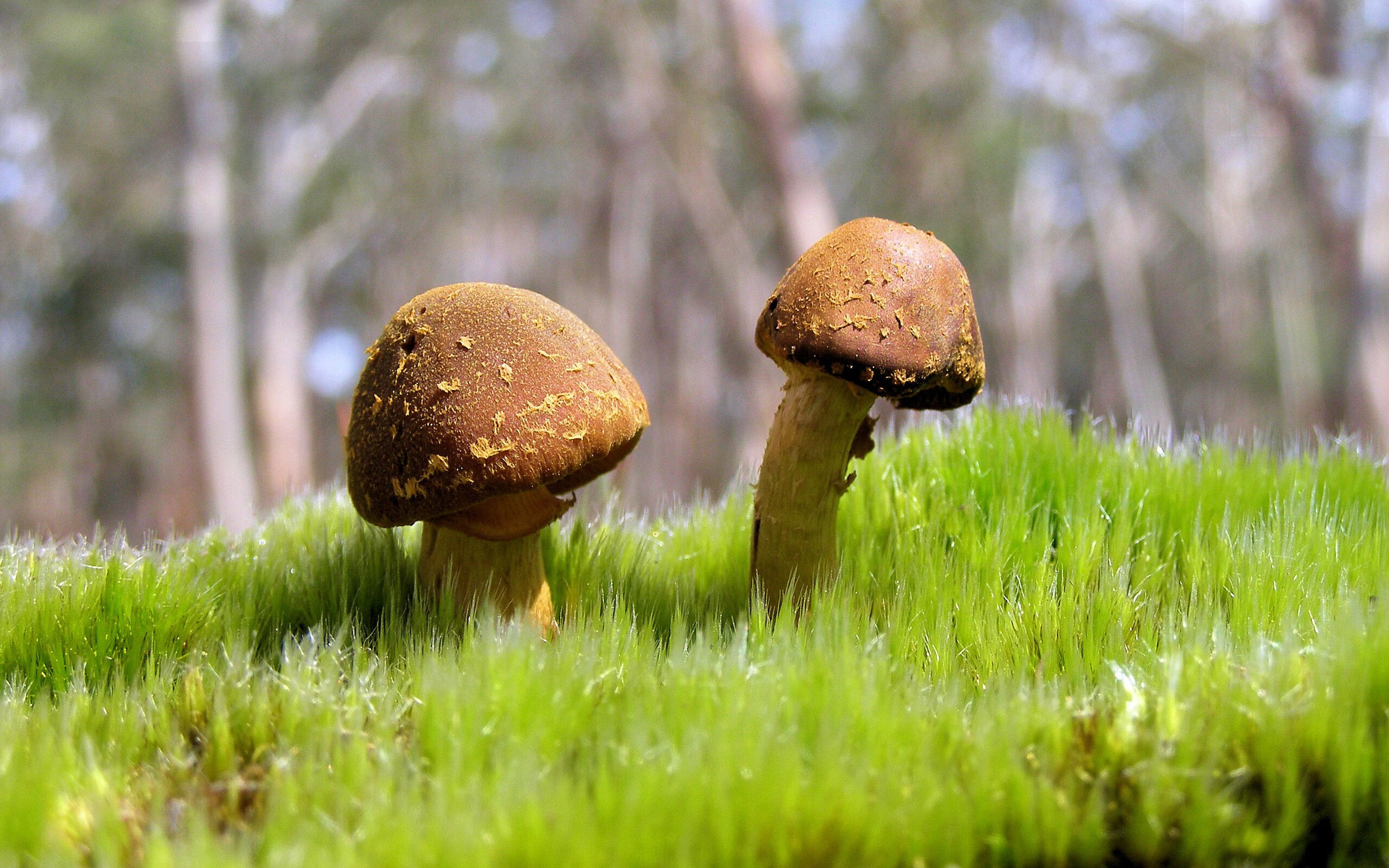 九游网页版官网-“足球+旅游”新业态在全国多地实施，推动区域经济高质量发展，旅游新业态的表现形式