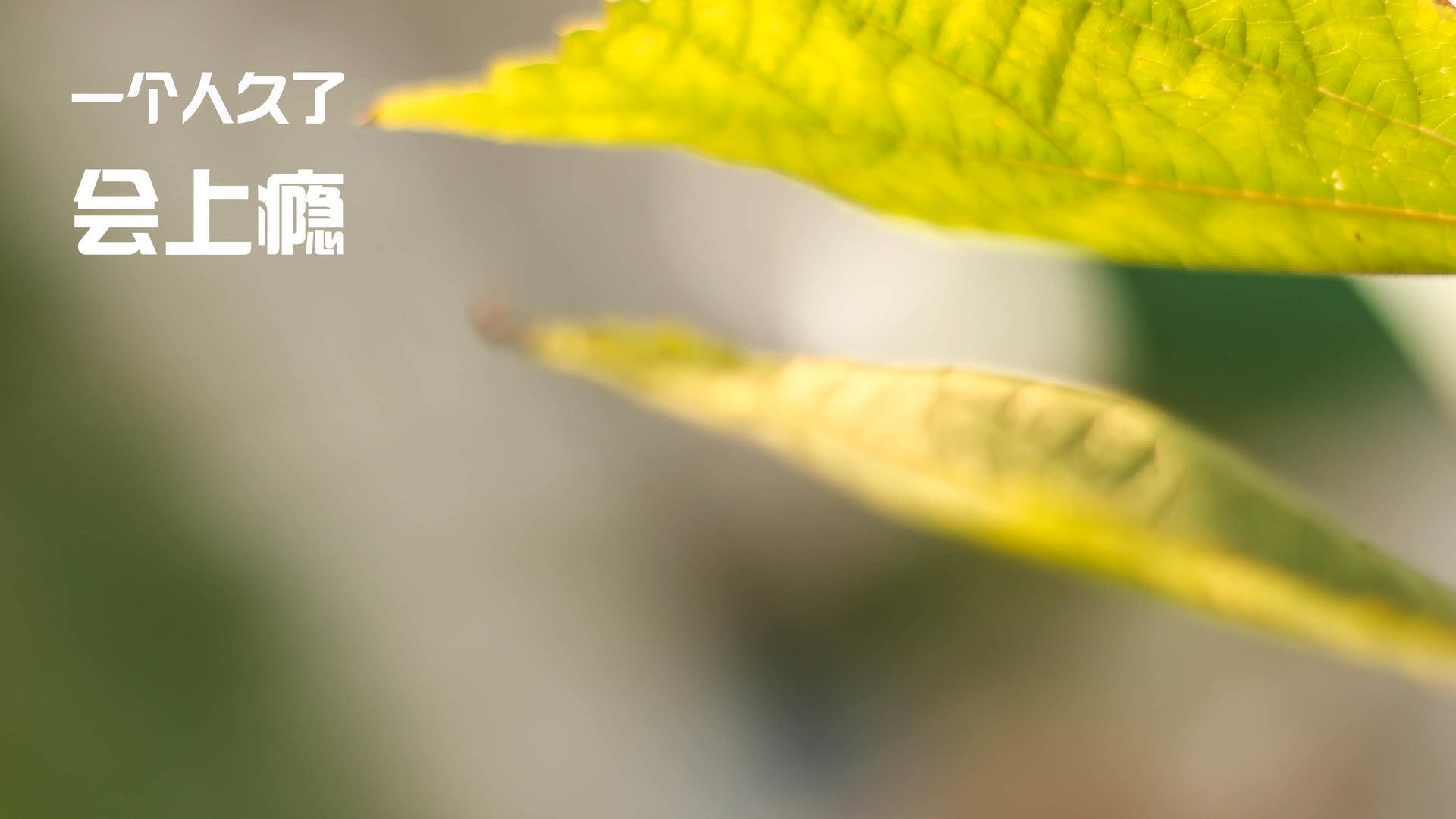 九游APP官网-数字科技推动中国篮球“智慧场馆”全面普及，智能化篮球场