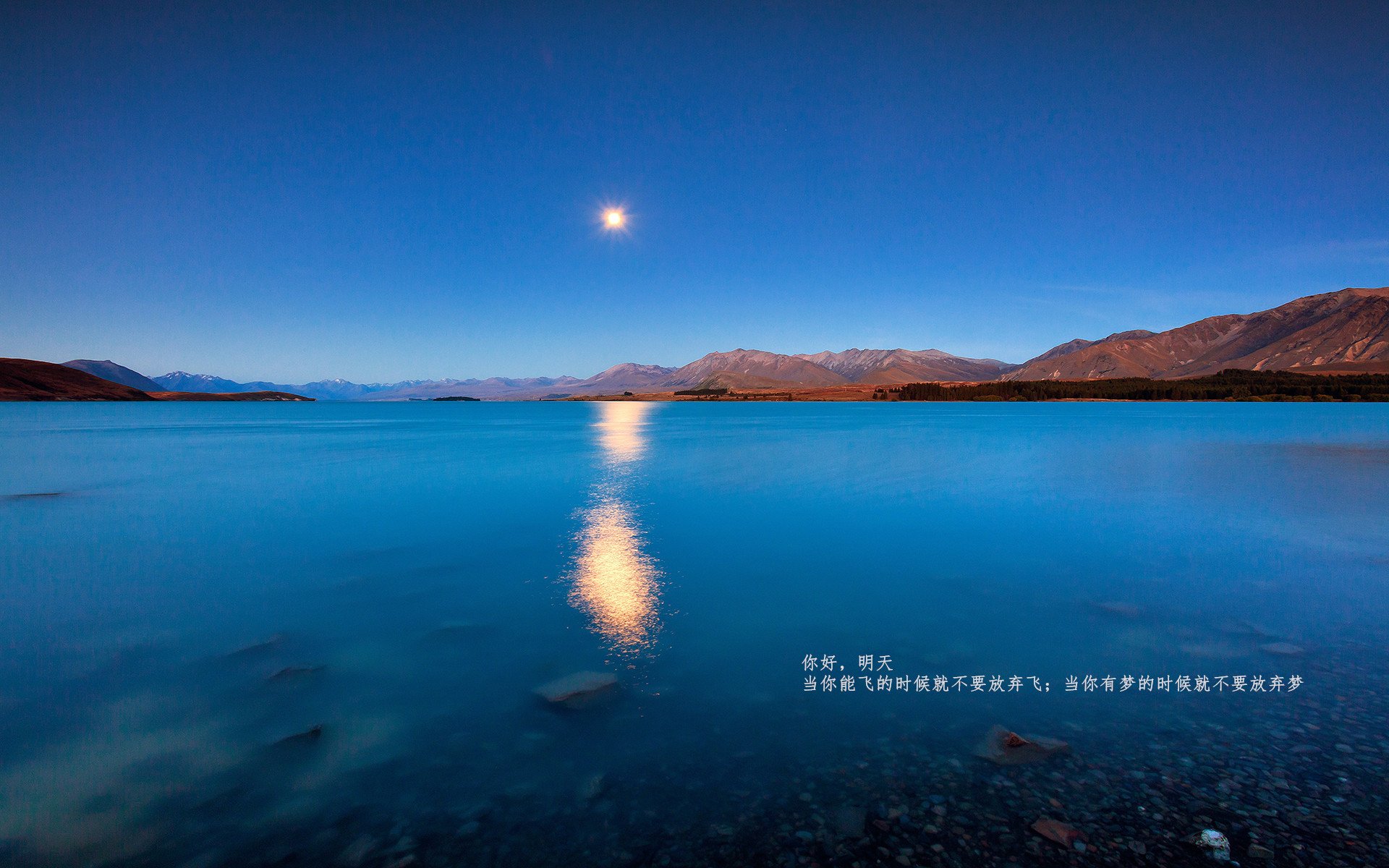 九游APP官网-篮球赛事直播平台用户界面优化升级，篮球场直播app