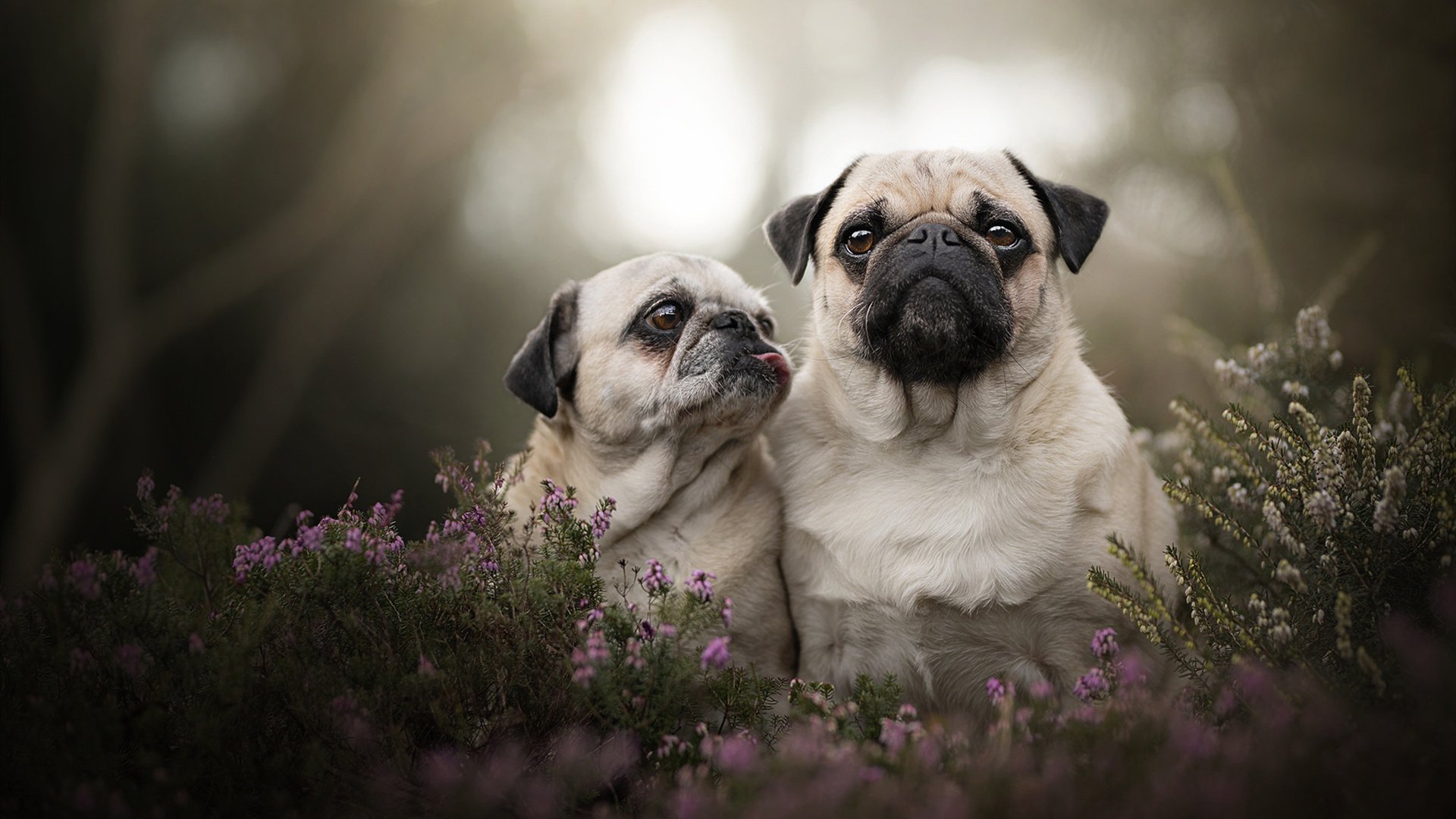 九游网-NBA球星代言电竞品牌破圈传播，nba篮球代言