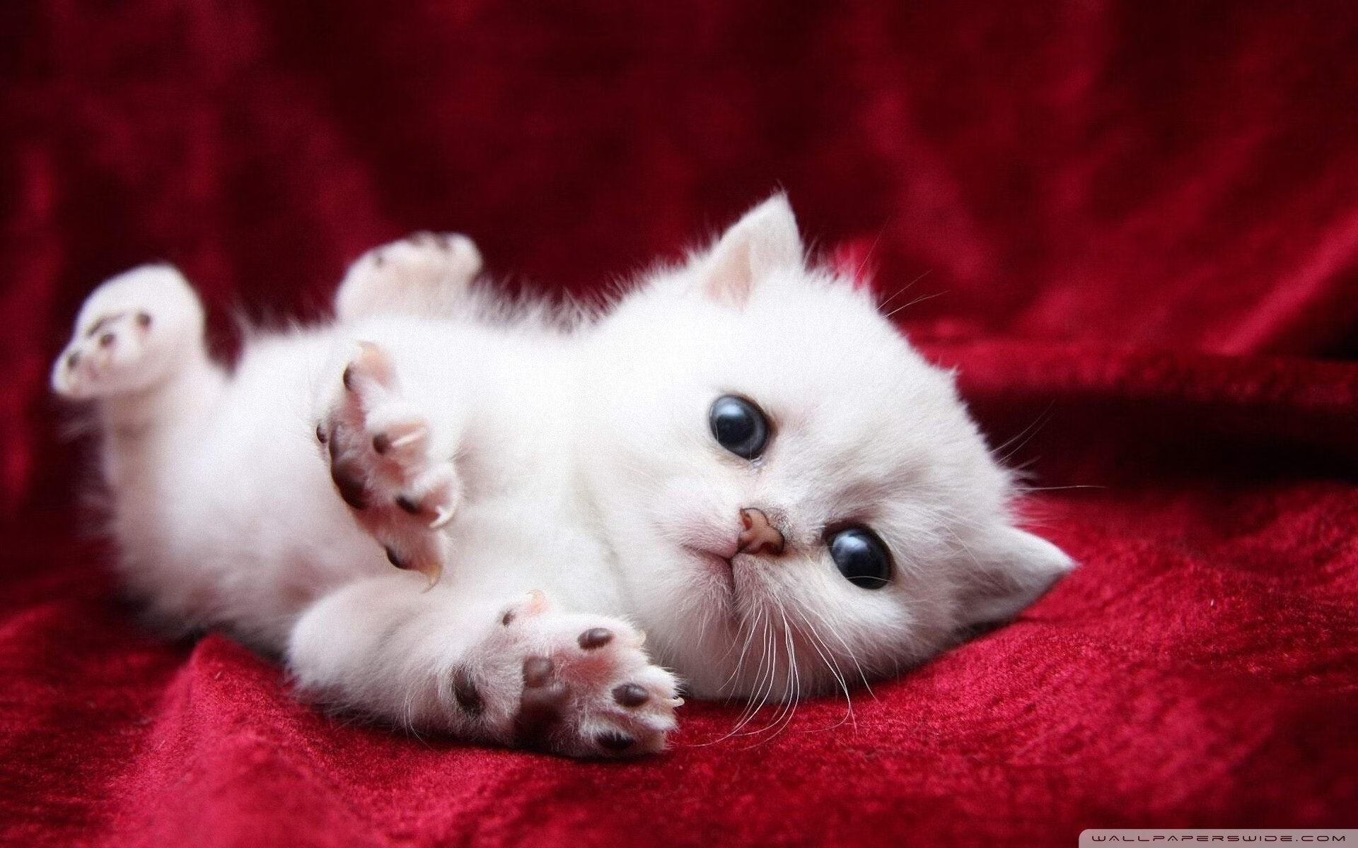 九游电脑版-一场关键比赛对球队赛季目标至关重要，球队比赛问题