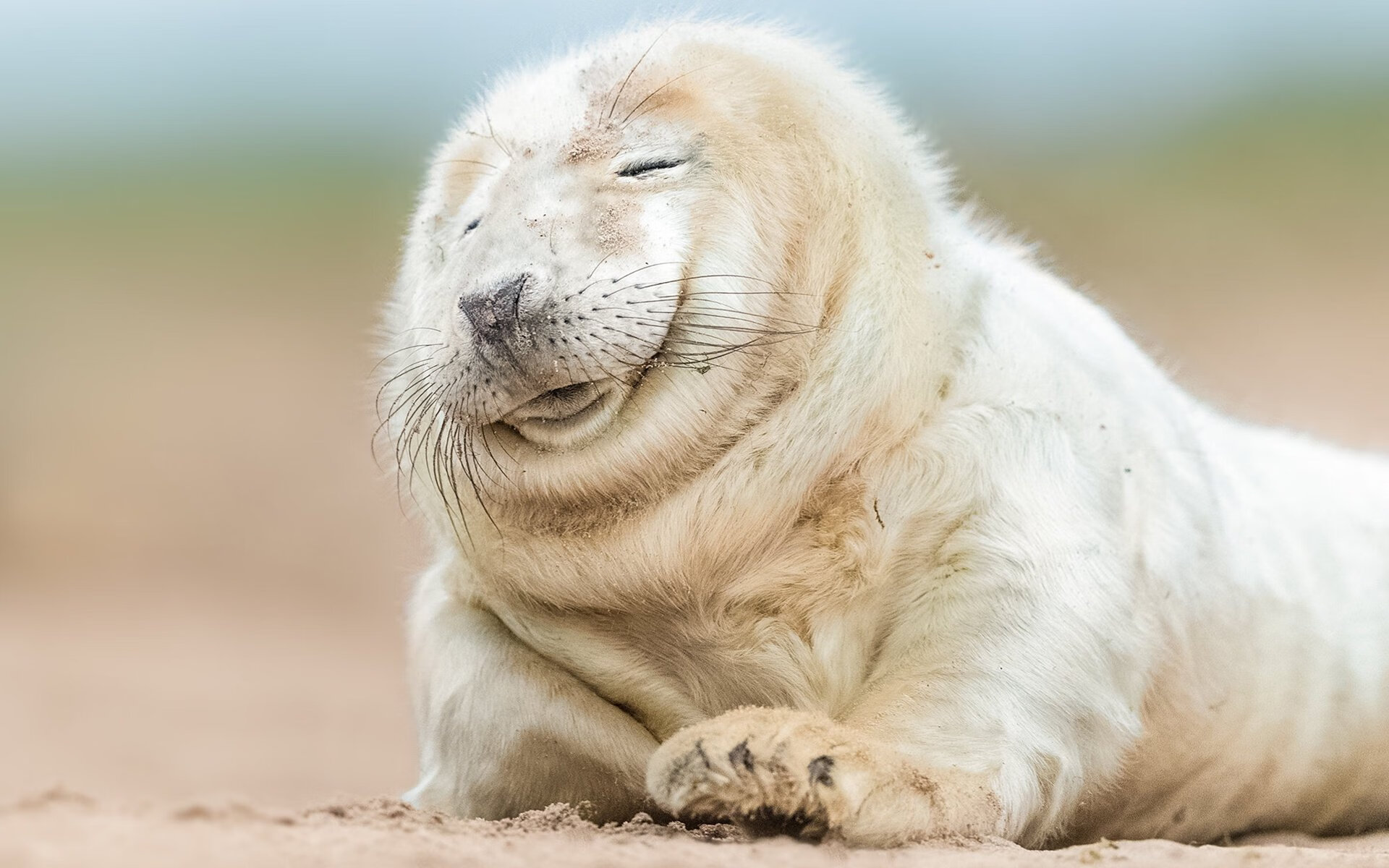 九游sports-利雅得新月防线表现稳固，利雅得胜利和利雅得新月