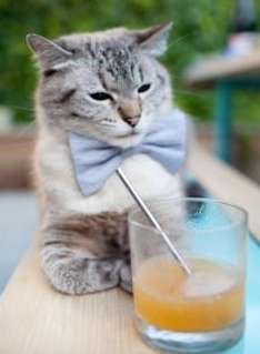 九游app下载中心-猛龙客场取胜活塞，瓦努尼发威雄风再现，瓦龙本人