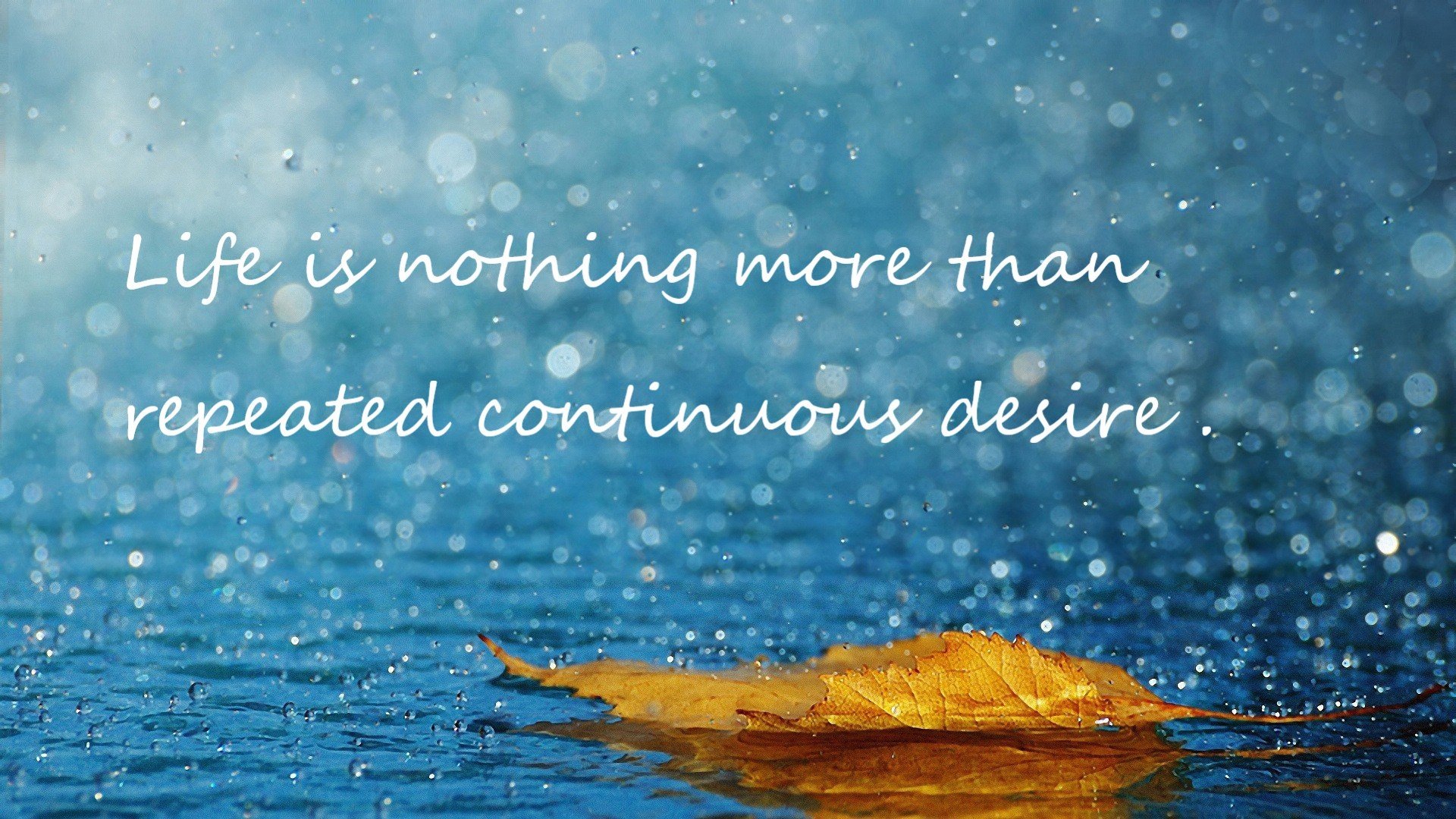 JIU YOU GAME-“飞跃东安湖：跑酷选手挑战最具难度的障碍赛道”