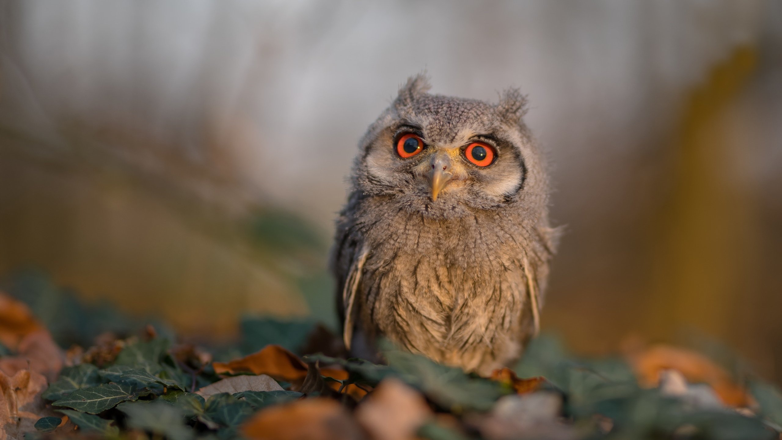 九游娱乐(jiuyou)官方网站-冰雪运动体验课进驻城市商业综合体，冰雪运动中心真能获得客观的经济效益吗