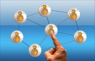 九游APP官网-德国队与国际乒联混合团体世界杯赛制的互动与挑战，德国队乒乓