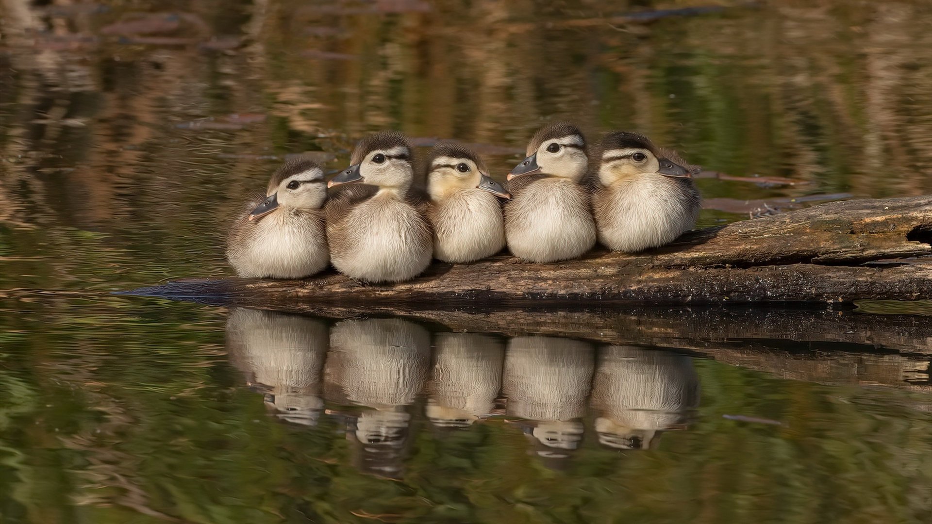 九游登录入口-国家队训练营设置激励机制提升球员内部竞争力，国家队训练模式