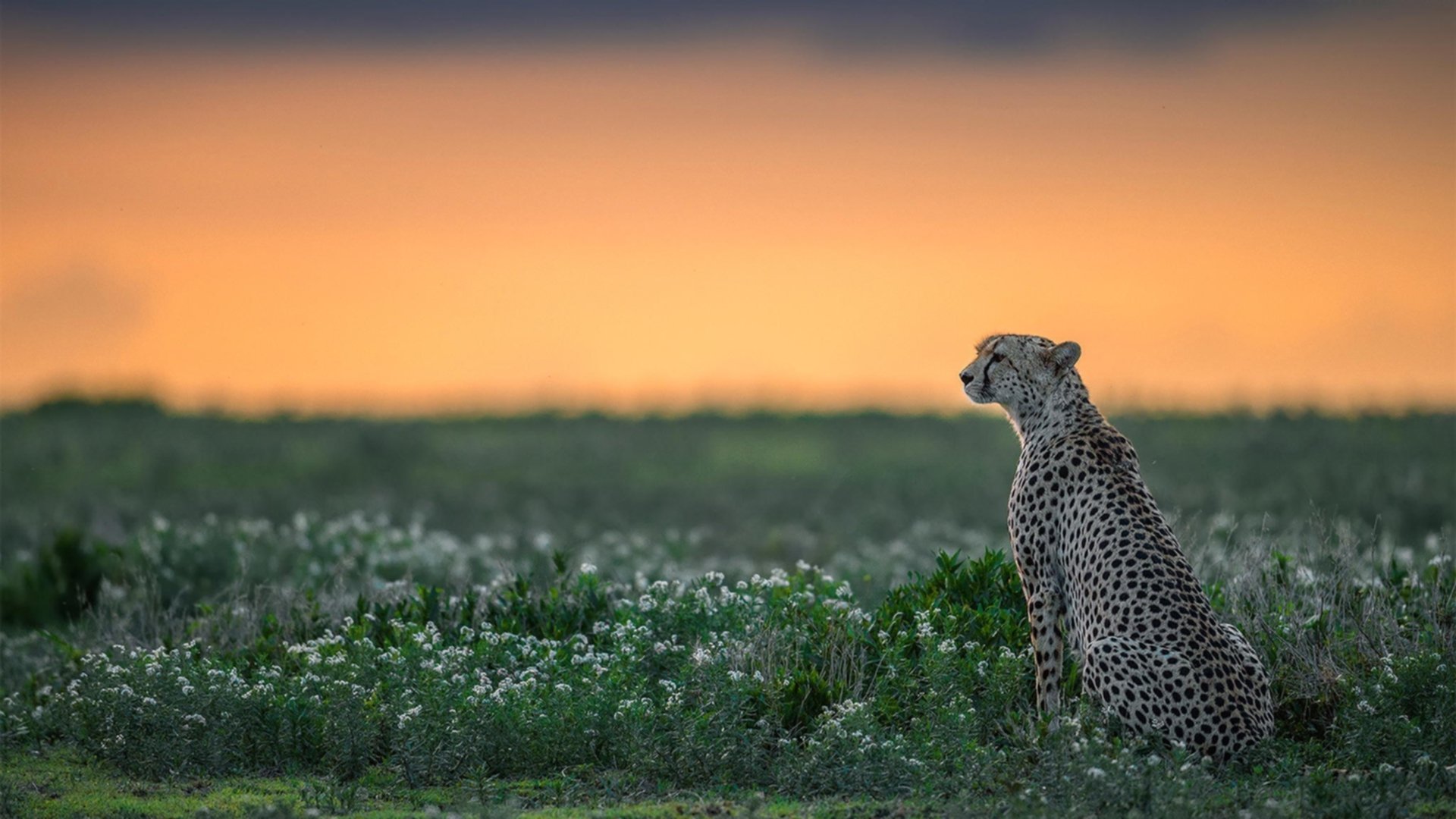 九游登录入口-女子联赛推动青少年裁判员计划增加执法储备力量，2020官方赛事裁判培养计划